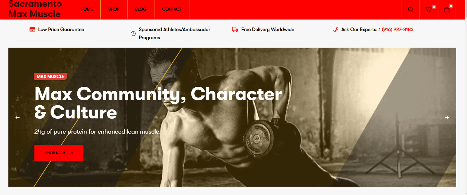 Web Design - Web Design