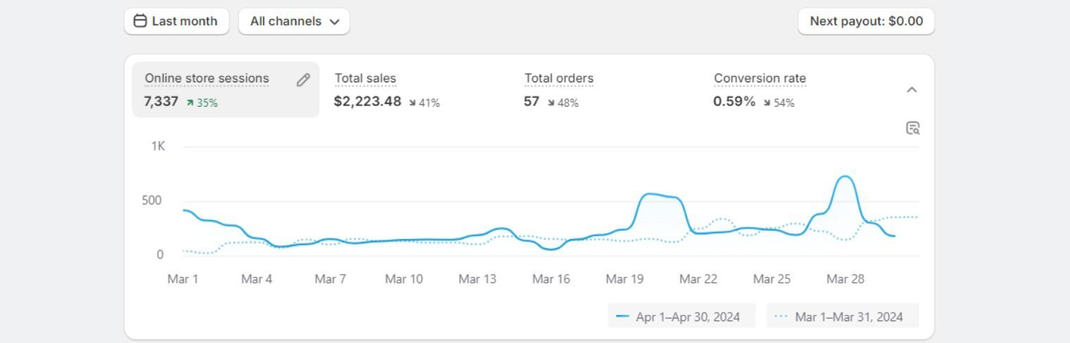 Shopify Store Sales